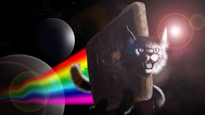 [59+] 2020 Meme Desktop Wallpapers 