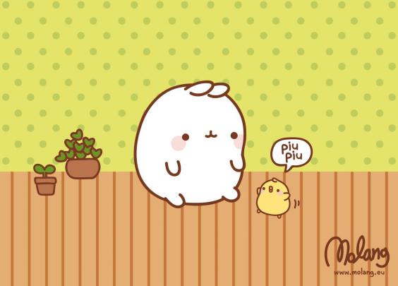 Cute Molang Wallpapers