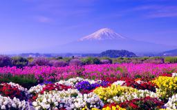 Hd Wallpaper 1920x1080 Spring