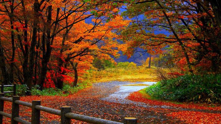 Fall Wallpaper Desktop (72+ images)
