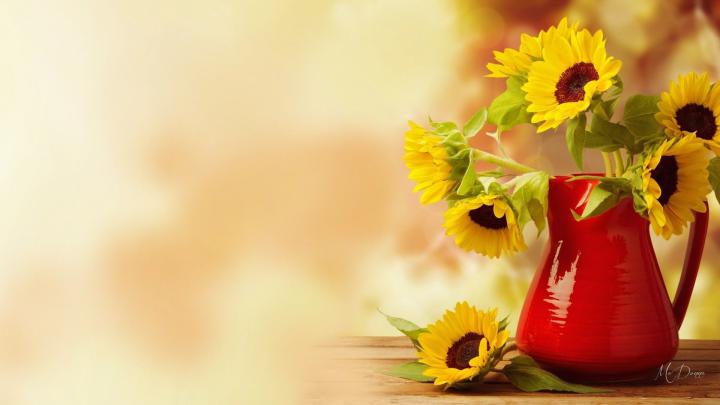 Fall Flowers Desktop Wallpapers - 4k, HD Fall Flowers Desktop 