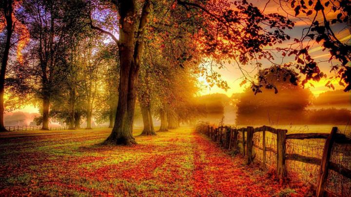 Fall desktop wallpaper \u00b7\u2460 Download free awesome High Resolution 