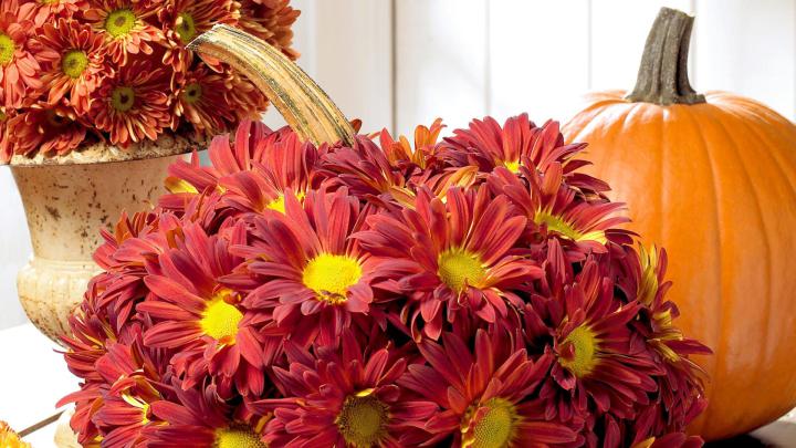 Fall Flowers Desktop Wallpapers - 4k, HD Fall Flowers Desktop 