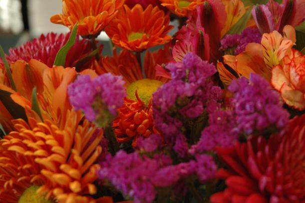 Fall Flowers Wallpapers - 4k, HD Fall Flowers Backgrounds on WallpaperBat