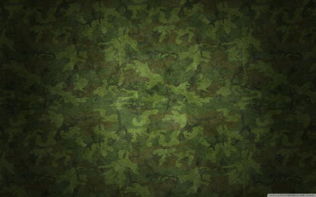 Geek wallpaper | 1920x1080 | #71116