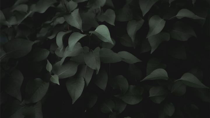 Berlin, Germany Mac Wallpaper Download | AllMacWallpaper