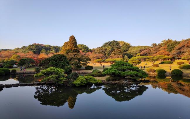 Download Shinjuku Gyoen Free Download 1920x1080 Phone 5K HD Wallpaper 