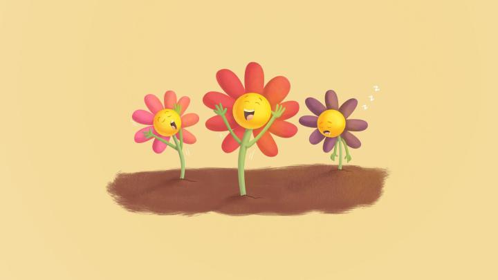 1920x1080 spring flowers hd wallpaper backgrounds free | Background 