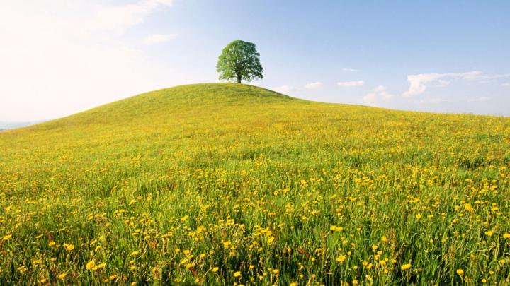 Free download Spring Switzerland Wallpaper 1920x1080 Spring Switzerland 