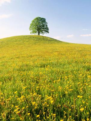 Free download Spring Switzerland Wallpaper 1920x1080 Spring Switzerland 