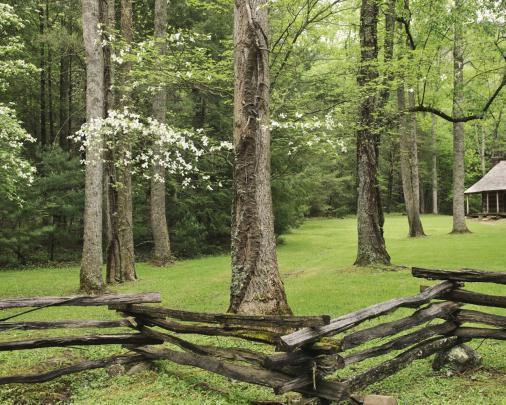 Free download Mountains Spring Wallpaper 1920x1080 Mountains Spring 