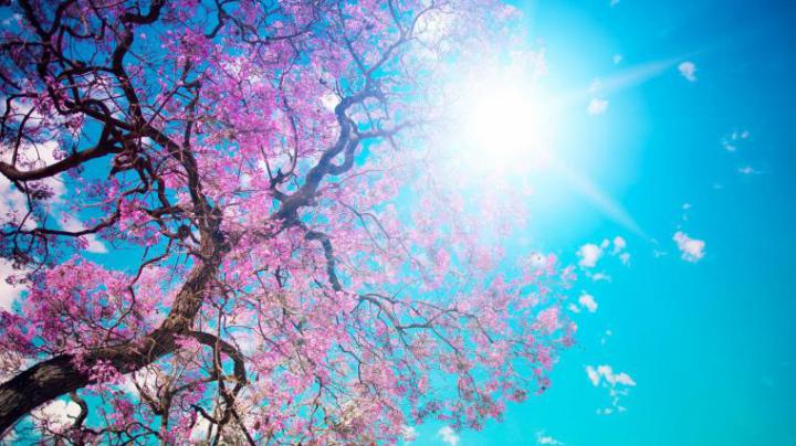 Free download 1920x1080 Spring Road desktop PC and Mac wallpaper 