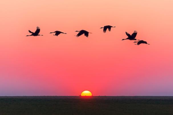 101 HD Laptop Wallpaper free Download, Nature Wallpapers for Laptop 