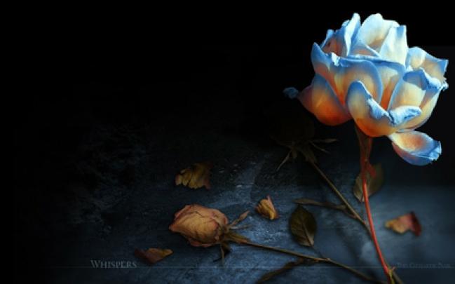 horror dark High Quality Wallpapers,High Definition Wallpapers