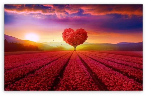 Love Hd Wallpapers For Pc 1920X1080 - Insearchofcanaan