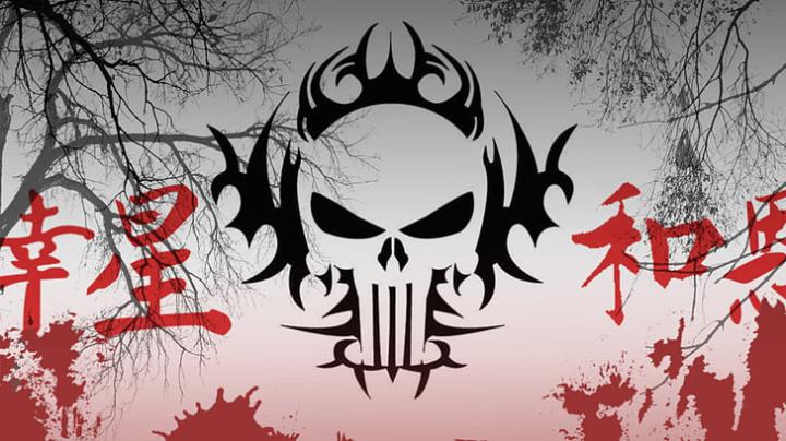Punisher Skull The Punisher Wallpaper