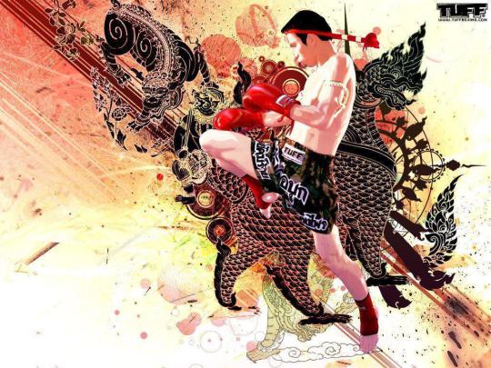 Muay Thai Desktop Wallpapers - Top Free Muay Thai Desktop Backgrounds 