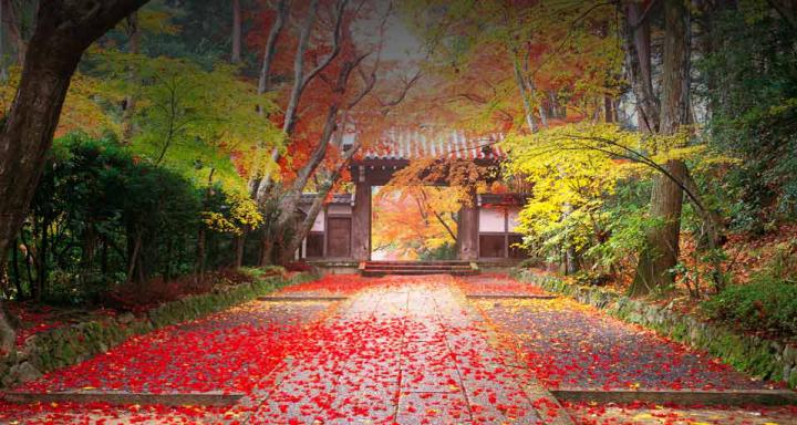 Free download autumn wallpaper national geographic [958x512] for your 