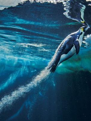 Free download national geographic wallpaper HD [1920x1080] for your 