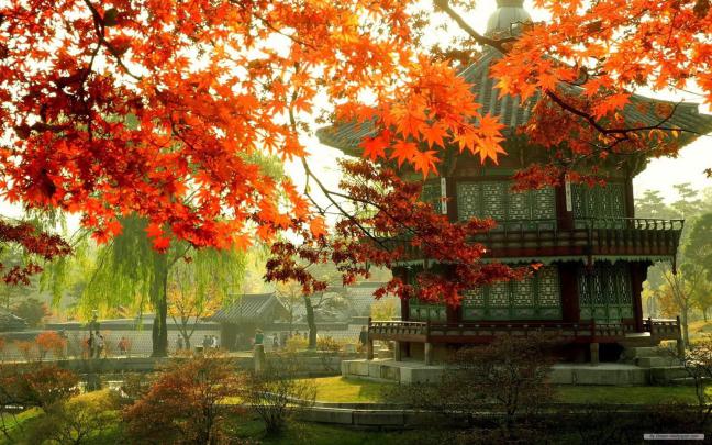 Seoul Wallpaper -