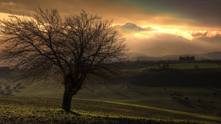 10 Top National Geographic Wallpaper Hd 1920X1080 FULL HD 1920\u00d71080 For 
