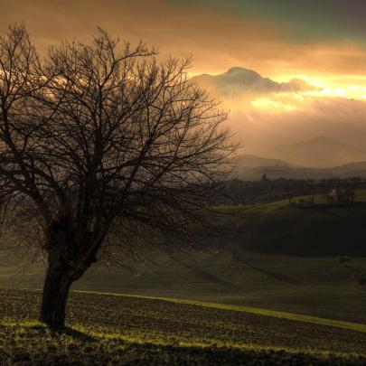 10 Top National Geographic Wallpaper Hd 1920X1080 FULL HD 1920\u00d71080 For 