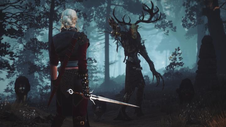 The Witcher Wallpapers - 4k, HD The Witcher Backgrounds on WallpaperBat