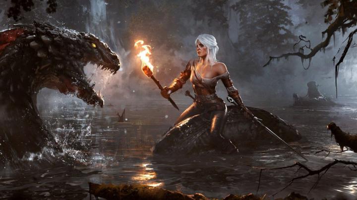 The Witcher HD Wallpapers - Top Free The Witcher HD Backgrounds 