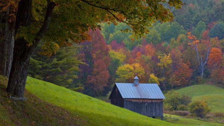 Autumn Wallpaper 1920x1080 76+ High Quality Graphics | Wallpaper, New 