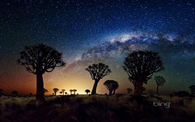 Bing Daily Wallpaper \/ Free Download Bing Daily Wallpaper Sf Wallpaper 