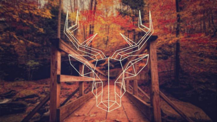 Wallpaper : 1920x1080 px, deer, fall, Hipster Photography, polygon art 