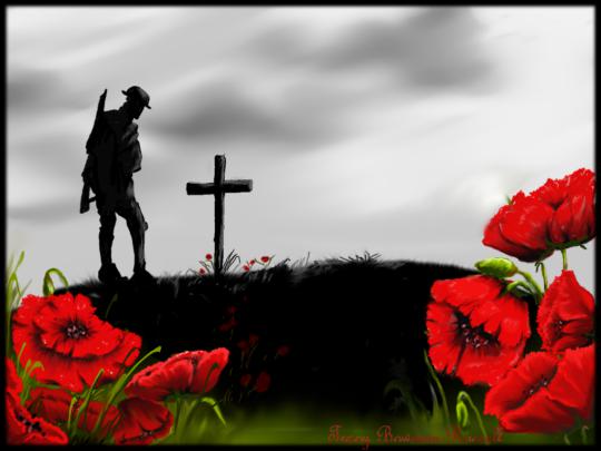 Remembrance Day Wallpaper -
