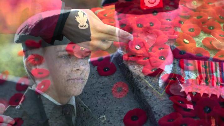 Remembrance Day Wallpaper (59+ pictures)