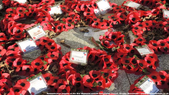 Remembrance Day Wallpaper (59+ pictures)