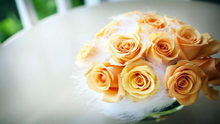 Yellow Rose Wallpapers (67+ background pictures)