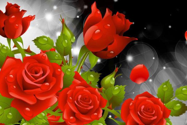Red Rose Wallpapers \u00b7\u2460 