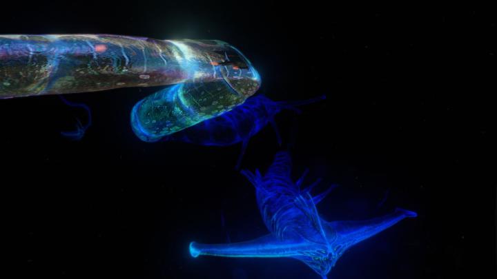Ghost Leviathan Wallpapers - Top Free Ghost Leviathan Backgrounds 