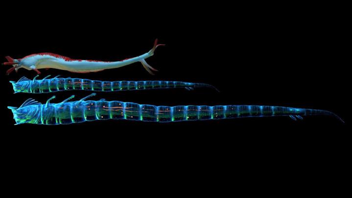 Ghost Leviathan Wallpapers - Top Free Ghost Leviathan Backgrounds 