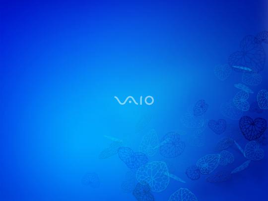 Free download Sony VAIO Wallpapers HD Wallpapers [1600x1200] for your 