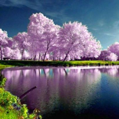 10 Latest Spring Nature Wallpapers High Resolution - High Resolution 