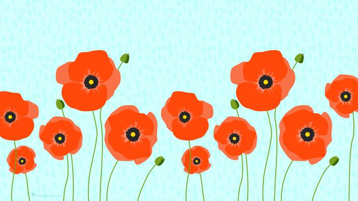 Poppy Flower Computer Wallpapers - Top Free Poppy Flower Computer 