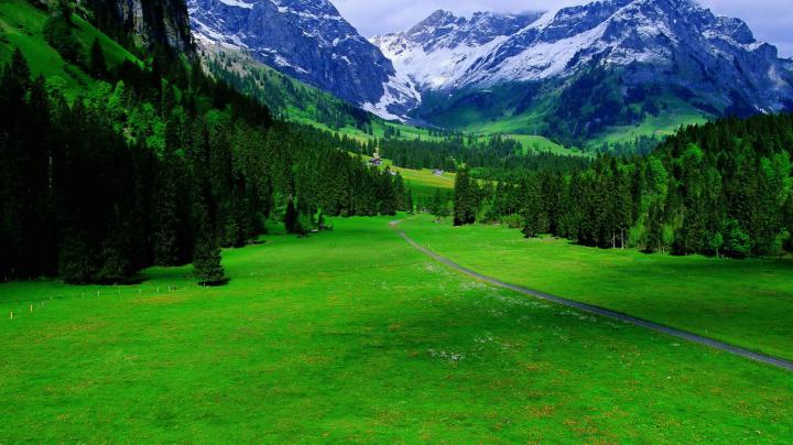 Green landscapes switzerland wallpaper | AllWallpaper.in #6012 | PC | en