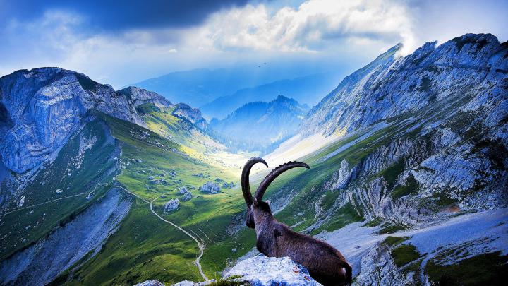 Switzerland Wallpapers
