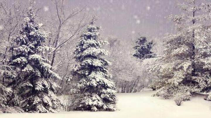 hd nature winter wallpaper backgrounds 1920x1080 | Wallpapers, Natuur 