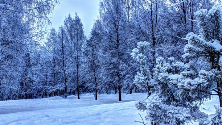 hd nature winter wallpaper backgrounds 1920x1080