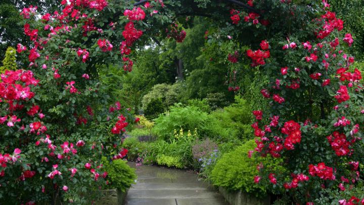 Free download Garden Computer Wallpapers Desktop Backgrounds 1920x1080 