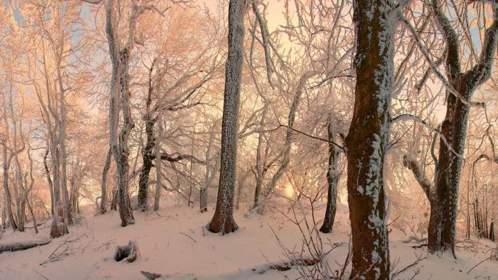 hd nature winter wallpaper backgrounds 1920x1080