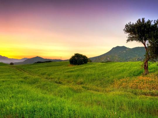 Free download Nature Desktop Backgrounds [1920x1080] for your Desktop 