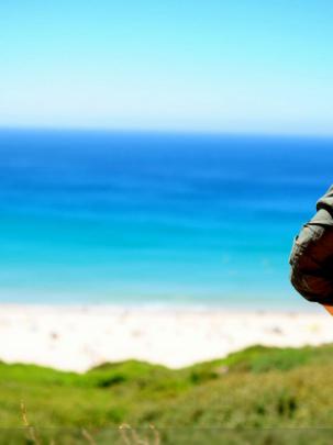 Free download beach hd wallpaper backgrounds 1920x1080 1080p hd 