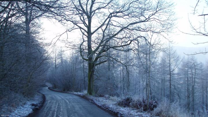 Winter Wallpapers